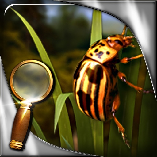 Treasure Island - The Golden Bug - Extended Edition - A Hidden Object Adventure