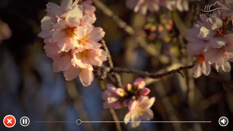 iLoveSantiagoDelTeide