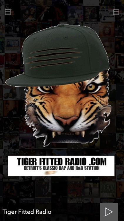 Tiger Fitted Radio 1