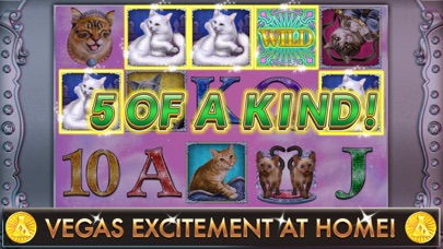 Glitzy Kitty Free Slots Casinoのおすすめ画像1