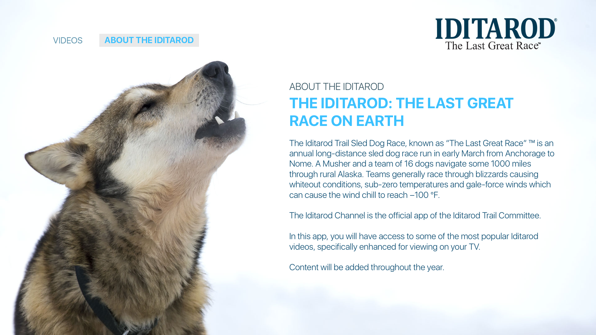 Iditarod® Channel screenshot 3