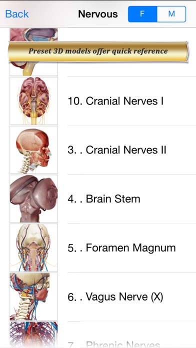 Brain and Nervous Anatomy Atlas: Essential Reference for Students and Healthcare Professionals Screenshot 2