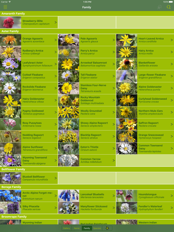 Screenshot #5 pour Rockies AlpineFlower Finder – a field guide to identify the wildflowers of the Rocky Mountains