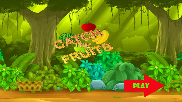 Fruits Catch