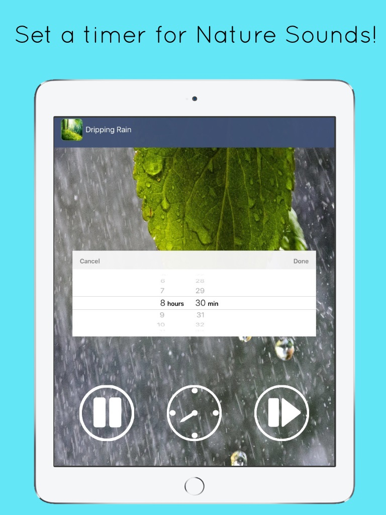 Nature Sounds: Relaxing Audio screenshot 6