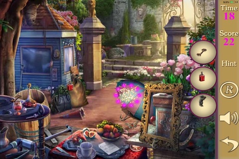 Hidden Objects Of A Evas Dream screenshot 4