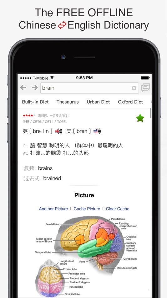English - Chinese Dictionary & Phrasebook / 英英字典、翻译器、抽认卡、短语集 - 4.9 - (iOS)
