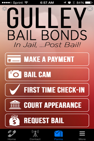 Gulley Bail bonds screenshot 3