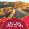 Saguaro National Park