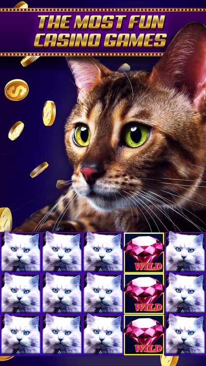 Slots Casino Joy - Free Slot Machines & Solitaire