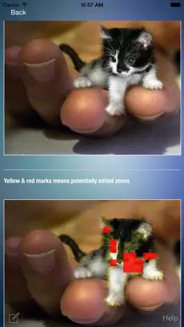 Game screenshot Foto Detective hack