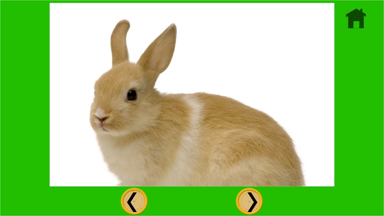 rabbits for good kids - free game screenshot-3