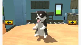 Game screenshot Dog Sim Puppy Craft apk
