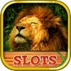 The Golden Royal Lion Roar Casino - Untamed King of Africa Slots Machine