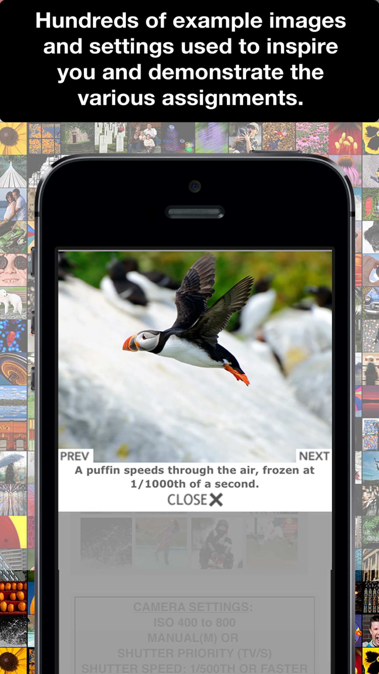 Learn Photo365 Lite
