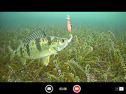 FishSens SondeCAM screenshot 5