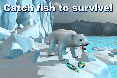 Polar Bear Survival Simulator 3D Free screenshot 2