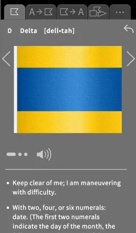 Game screenshot SignalFlags Tool apk