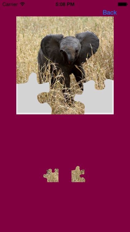 Safari Animals Jigsaw Puzzles screenshot-3