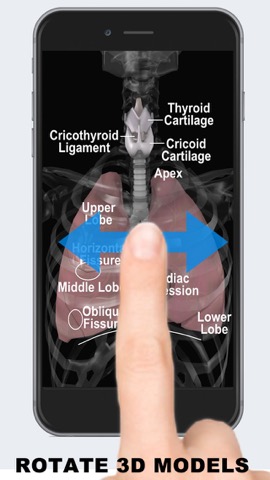 Anatomy 3D - Organsのおすすめ画像2