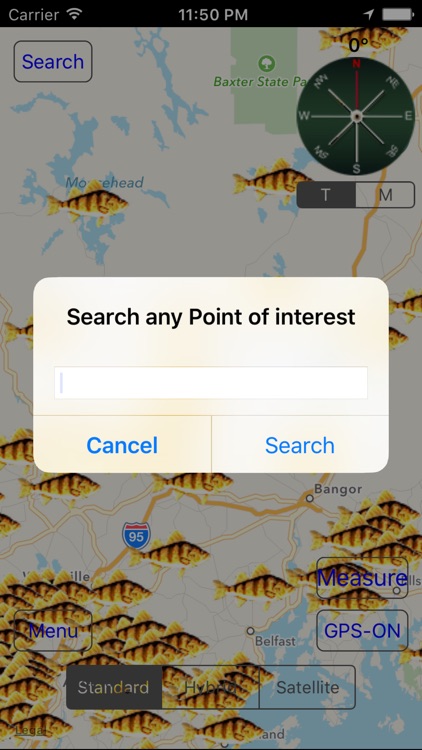 Maine: Fishing Lakes screenshot-4