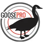 Goose Hunting Calls-Goose Sounds-Goose Call App App Cancel