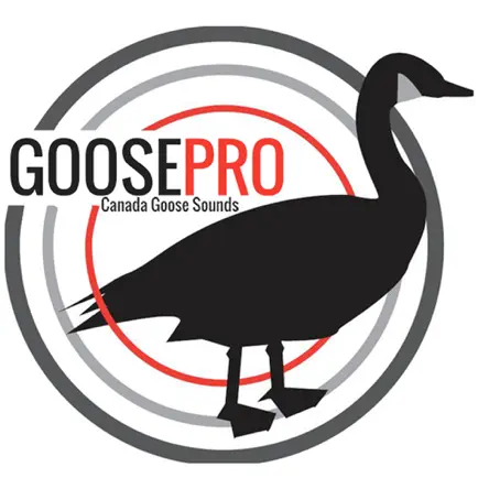 Goose Hunting Calls-Goose Sounds-Goose Call App Cheats