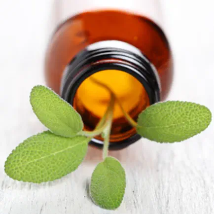 Guide de l'aromathérapie pour se soigner à base d'huiles essentielles Читы