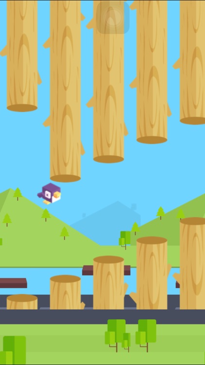 Crossy Bird - Endless Arcade Flappy