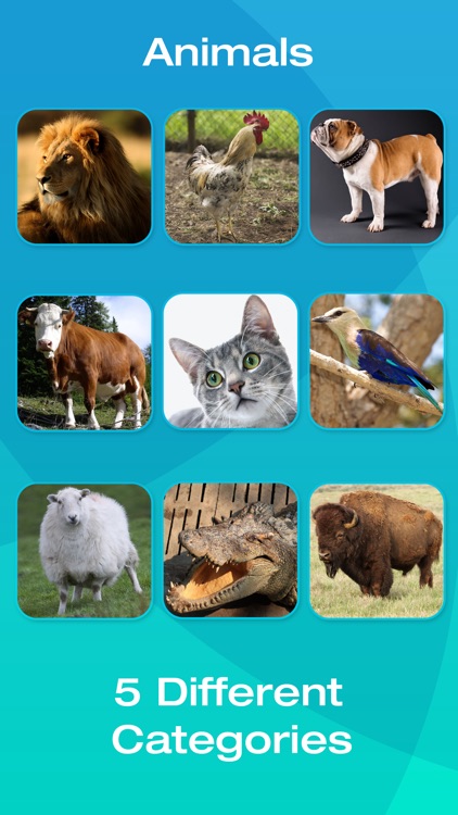 Animal and Tool Flashcards for Babies or Toddlers screenshot-3
