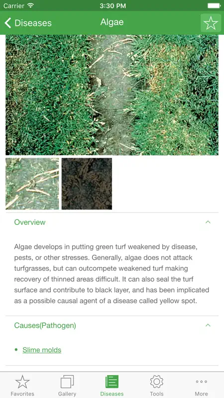Turf MD screenshot 2 of 5