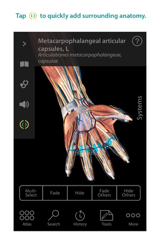 Human Anatomy Atlas – 3D Anatomical Model of the Human Body screenshot 2