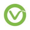 Vgo Taxi