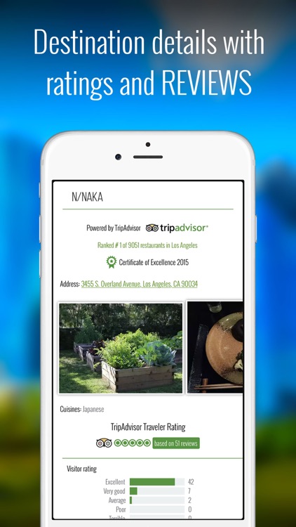 Travedia – California