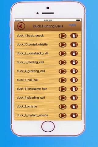 Duck Hunt Calls screenshot 2
