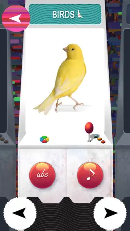 Game screenshot TOY - ZOO Animals And Birds Flash Cards - Free PreSchool Educational Learning Games For Toddlers And Kindergarten Babies mod apk
