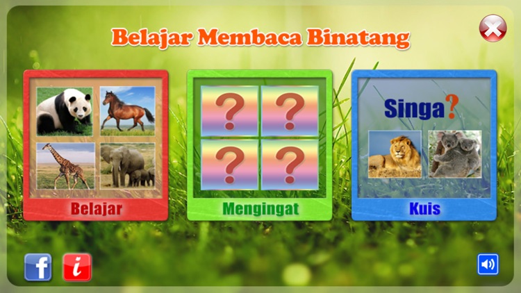 Belajar Membaca Binatang