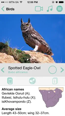Game screenshot Sasol Common Birds for Beginners (Lite): Quick facts, photos and videos of 46 common southern African birds hack