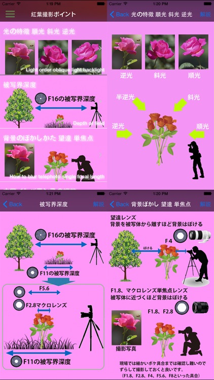 薔薇撮影 notepad