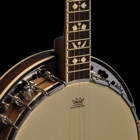 Top 37 Music Apps Like Teach Yourself To Play Banjo - Best Alternatives