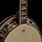 Teach yourself the play the banjo with this collection of 334 tuitional video lessons