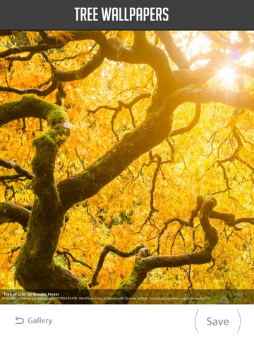 Screenshot #6 pour Tree Wallpapers