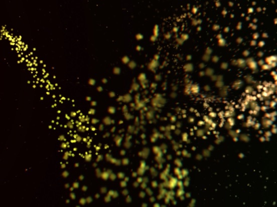 Mira by Active Theory