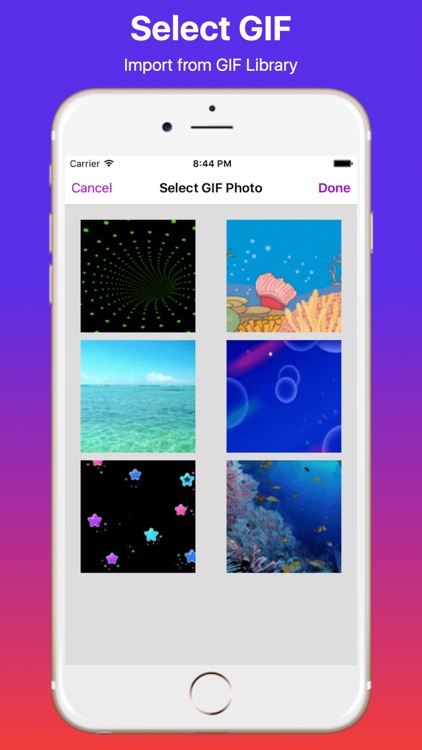 GIF to Video Maker Pro screenshot-3
