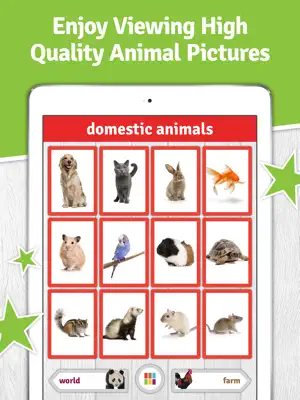 SO Animals screenshot 3
