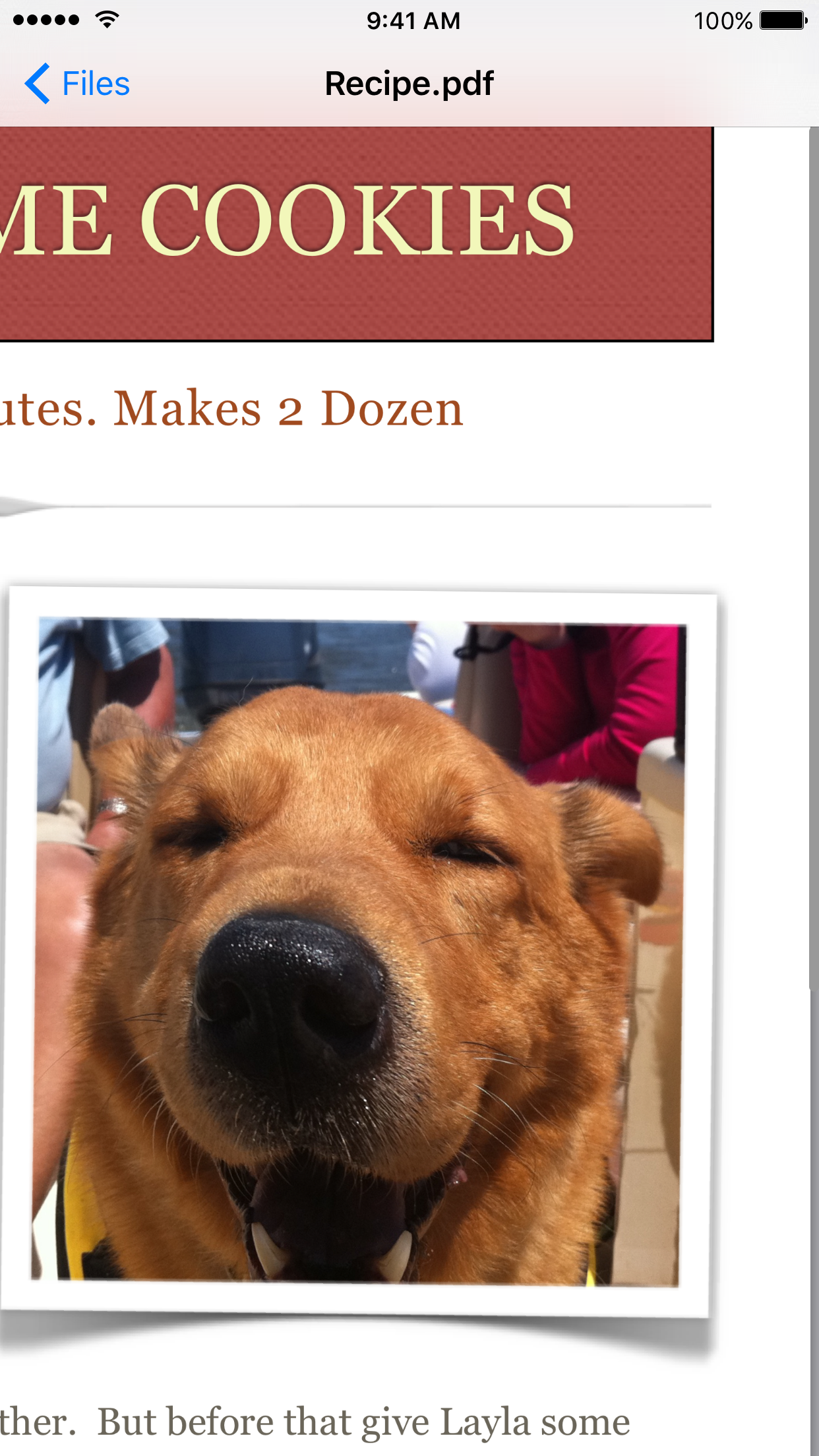 Filer Lite screenshot 5