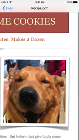Filer Lite screenshot