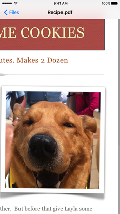 Filer Lite screenshot 5