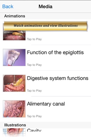 Digestive Anatomy Atlas: Essential Reference for Students and Healthcare Professionals screenshot 4