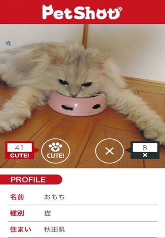 PetShot-犬猫ペットの写真＆動画 screenshot 2